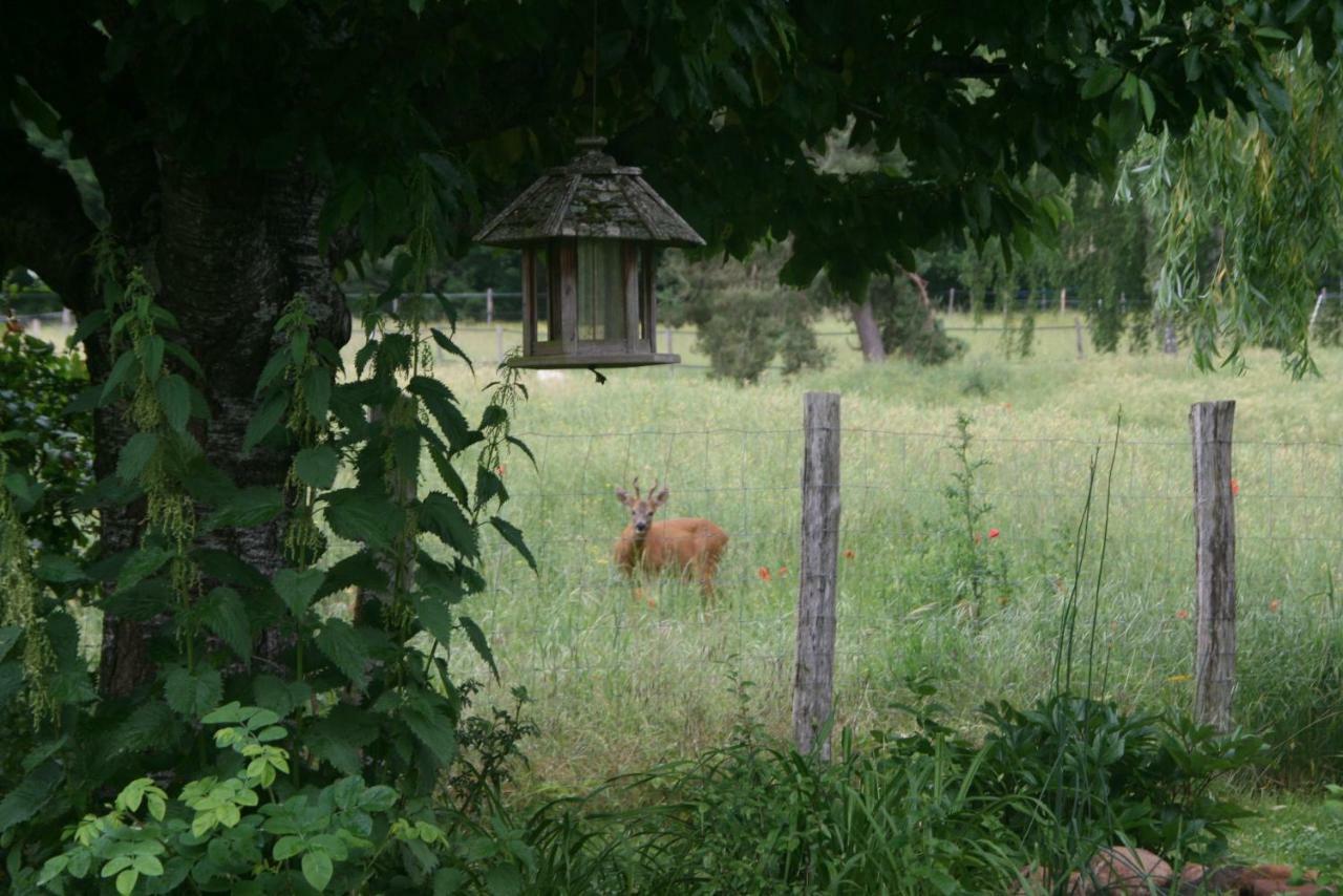 La Raimbaudiere Bed and Breakfast Guigneville-sur-Essonne Buitenkant foto